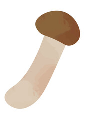 マツタケのイラスト