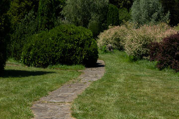 paved walkway in an Italian park garden