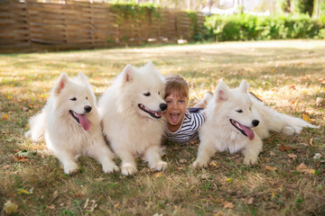 little cute girl with big white dogs. pets