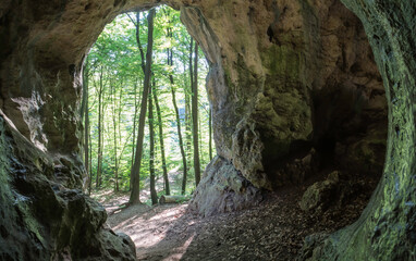 Wyjście z jaskini Ostrężnickiej