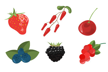 Set of berries painted in a watercolor style. Strawberries, cherries, raspberries, blackberries, blueberries,  grapes, cherry.