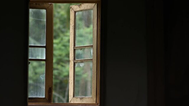 Half opened word out yellow old window with a view of a jungle