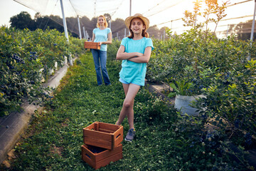 Small girl with a box full of blueberries on a family farm, business concept, summer job and making responsibility from young age. © astrosystem