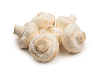 Champignon mushroom isolated on white background.