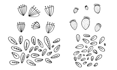 Collection of hand drawn flowers heads and leaves. Doodle illustration. Simple floral elements isolated on white background