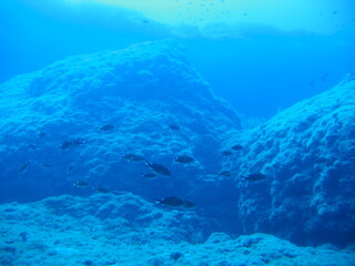 Unter Wasser