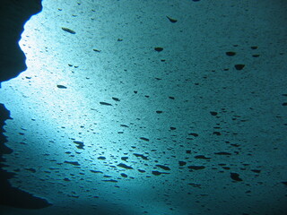 Unterwasserwelt