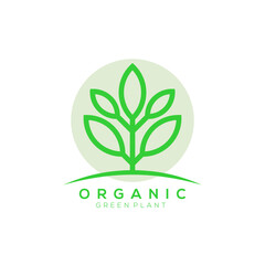 green leaf plant vector logo with light green background