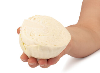 white cabbage in hand isolated on white background