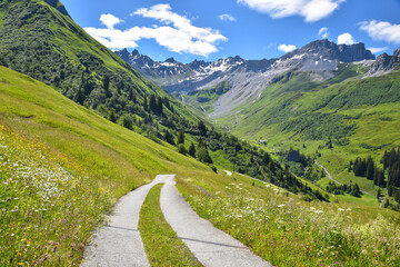 Wanderweg durch Wildblumenwiese mit Blick ins Gafiental bei St. Antönien, Graubünden Schweiz