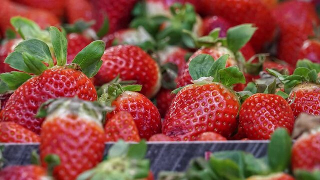 Verschiedene gesunde Obst und Gem&uuml;se.