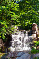 waterfall in the forest