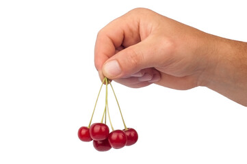 five cherries in hand isolated on white background