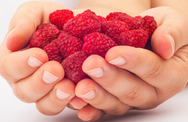 raspberries in the hands