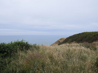Falaise Mer Ocean Montagne Panorama