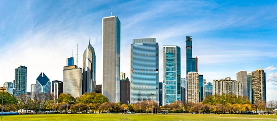 Fotobehang Skyline of Chicago at Grant Park in Illinois - United States © Leonid Andronov