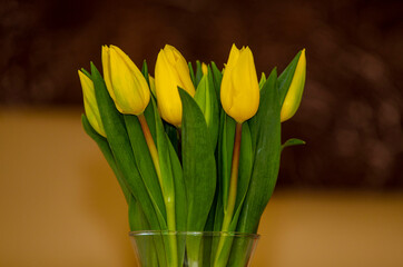 Bukiet Tulipan&oacute;w