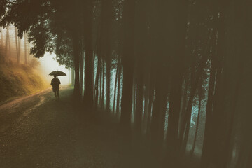 person with umbrella walking on forest with rain