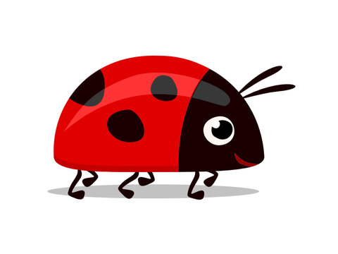 sweet little red lady bug vector illustration