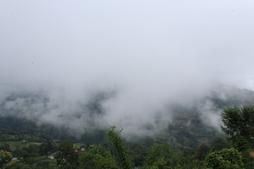 Fototapeta na wymiar Beautiful scene of green hill with lots of lots green trees and fogs in Nepal