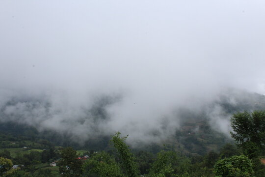 Beautiful scene of green hill with lots of lots green trees and fogs in Nepal © dipesh