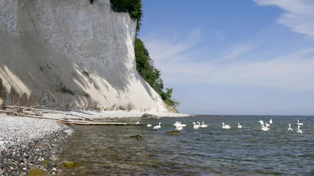 Chalk Cliffs on Ruegen R&uuml;gen in Germany, Mecklemburg Vorpommern on a beautiful sunny day. Vacation in Europe.
