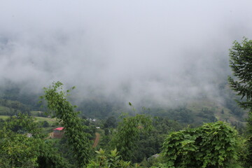 Fototapeta na wymiar Few bamboo trees and green hill with clouds