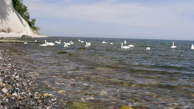 Chalk Cliffs on Ruegen R&uuml;gen in Germany, Mecklemburg Vorpommern on a beautiful sunny day. Vacation in Europe.
