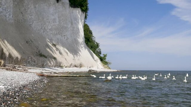 Chalk Cliffs on Ruegen R&uuml;gen in Germany, Mecklemburg Vorpommern on a beautiful sunny day. Vacation in Europe.