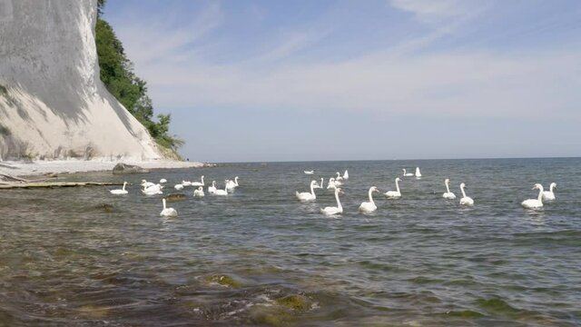 Chalk Cliffs on Ruegen R&uuml;gen in Germany, Mecklemburg Vorpommern on a beautiful sunny day. Vacation in Europe.
