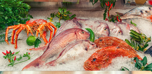 Raw fish and shellfish on supermarket display, toned