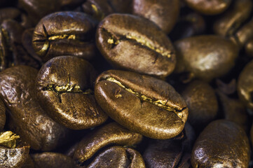 Coffee beans close-up