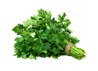 Perfect parsley bunch isolated on white. Ready for clipping path and for your design.