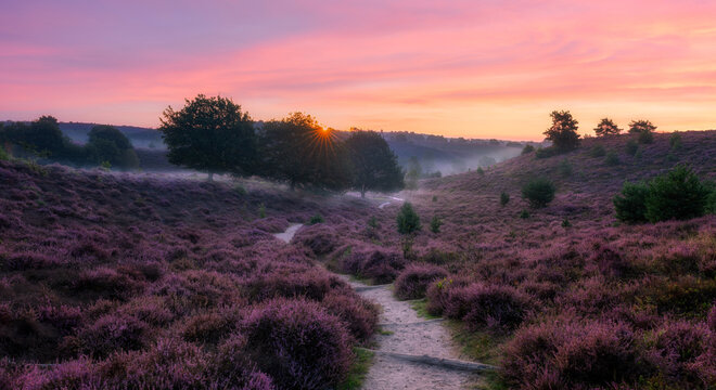 heather valley at sunrise