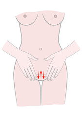 Self-massage of the abdomen and hips, acupuncture. Female torso. Isolated on white background.