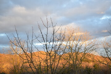 the landscapes and the sky cloudy at sunset.