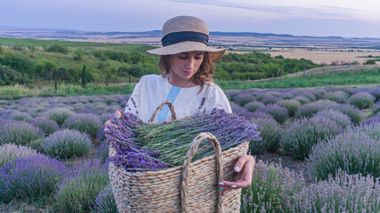 Girl in lavender field. Summer © Yaroslav