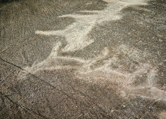 Petroglyphs in Karelia, Belomorsk district, Russia.