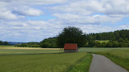 Wander- und Radweg im Heckengäu mit Getreidefeldern, Baum und Scheune