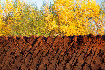 Rows of cutted peat in Northwestern Germany