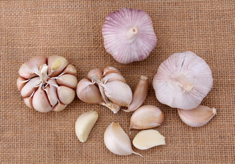 Garlic close-up on burlap background in studio. concept healthy lifestyle.