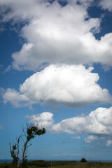 Obraz premium Arromanche 22