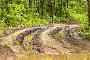 Mud Off Road Dirty in rainy day and green trees forest.