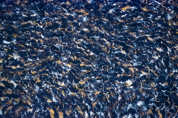 background: yellow-blue-white marble