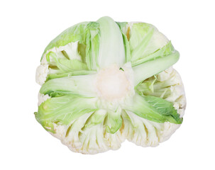 Fresh cauliflower isolated