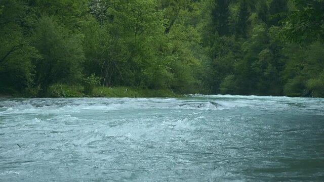 Fast clear waters of Radovna river in Vintgar Gorge Canyon near Bled, Julian Alps, Slovenia.