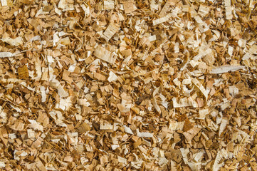 Background of wood sawdust
