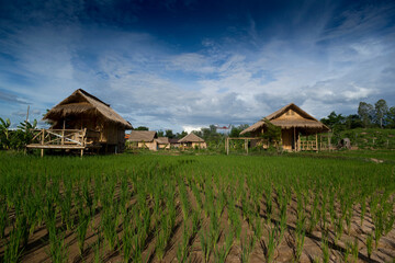 Fototapeta na wymiar View of farmer village homestay