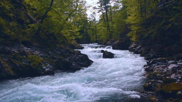 Fast clear waters of Radovna river in Vintgar Gorge Canyon near Bled, Julian Alps, Slovenia.