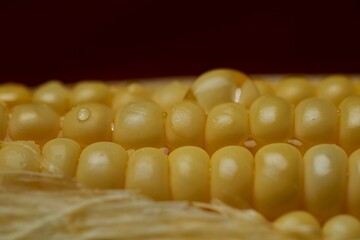 close-up view of the yellow corn seeds